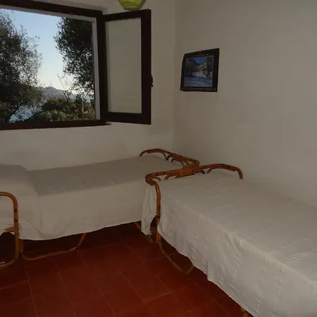 Liliana P9275 *